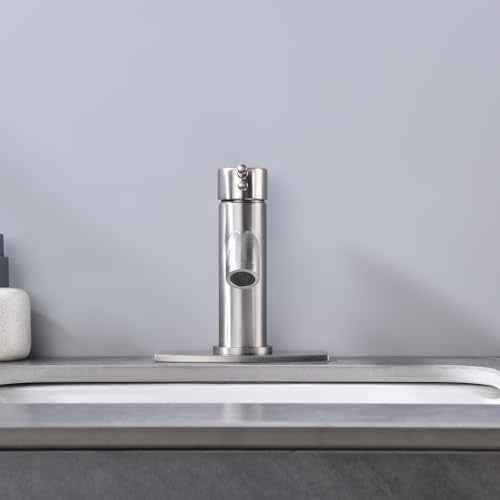 Single Handle Bathroom Faucet with Metal Drain Assembly and Escutcheon, Brushed Nickel