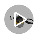 Workshop 2.5-Gallon Wet/Dry Shop Vacuum Cleaner with 1.75 Peak HP - Portable & Compact, Model WS0255VA - Variation: Vacuum Cleaner