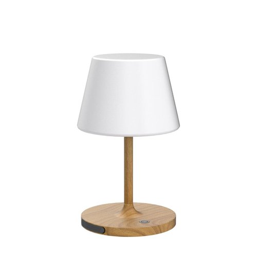 WEILAILUX Outdoor Battery Operated Table Lamp Waterproof, 4000mAh Cordless Rechargeable, Touch Dimmable Desk Lamp, LED Night Light for Patio Camping Restaurant Home, H9.6in, Wood Grain