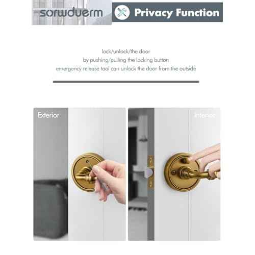 1 Pack Antique Brass Glass Door Lever Privacy Crystal Door Levers Door Lever Interior Door Handle for Bedroom and Bathroom,Zinc Alloy