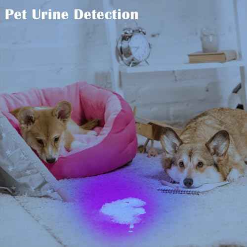 Black Light UV Flashlight, High Power Blacklight Flashlight Rechargeable, 385-395nm Wavelength Beam Best for Pet Urine Detection, Scorpion, Resin Curing, Bed Bug