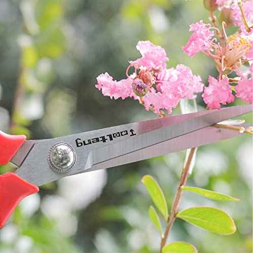 Extra Long Garden Scissor, Stainless Steel Pruning Shears, Bonsai Plant Trimming Scissors for thorny roses plant Flowers Harvesting Herbs Fruits or Vegetables