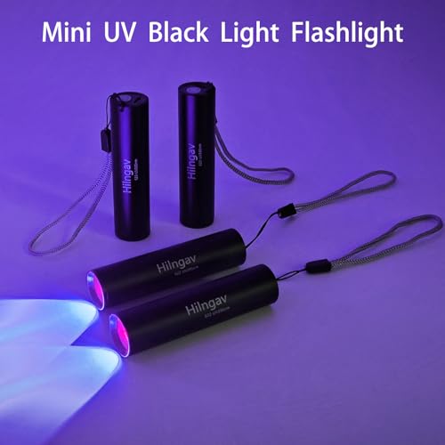 10 Pack Rechargeable Black Flashlight Small UV Black Flash Light 395 NM, Mini USB C LED Blacklight Flashlights Handheld Torch for Pet Dog Urine Resin Curing Fluorescent Agent Stains Detection