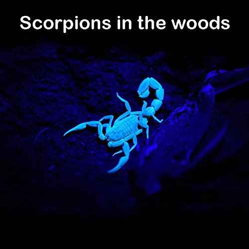 TATTU U2 UV Flashlight Rechargeable 395nm Black Light Torch Blacklight 10W Ultraviolet LED Lamp with Micro USB Charging Cable