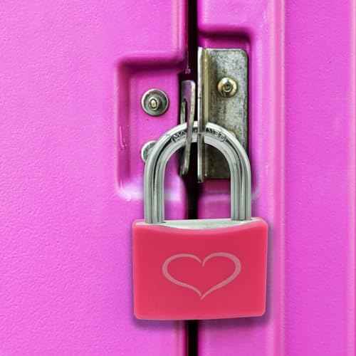 2 Pack Pink Padlock with 3 Keys, Locker Lock with 1-9/16" (40 mm) Wide Aluminum Lock Body, Padlock Keyed Alike for Gym Locker, Gate, Sheds, Storage Unit, Fence, Toolbox