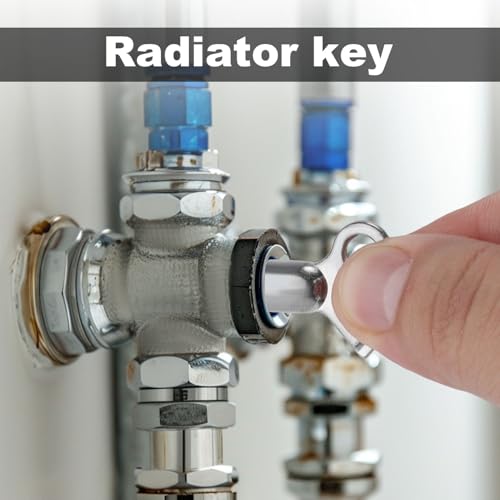 6 Pcs Radiator Bleed Valve Keys with 2 Pcs Keychains, Hot Water Radiator Bleeder Key Radiator Bleeding Air Valve Key Accessories for Venting Old Domestic Radiators Tool