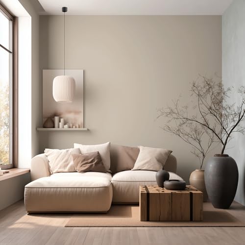 EVOLVE 1-Gallon Beach Beige Paint & Primer - Low Sheen, One-Coat Coverage, Interior & Exterior