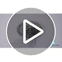 3.5 Inch Disposable Shower Drain Hair Catcher Mesh Stickers - 25 Pack