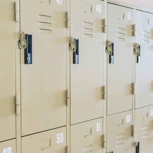 SDTC Tech 2pcs Mini Antique Padlock Retro Vintage Style Bear Head Shape Bronze Locks and Keys