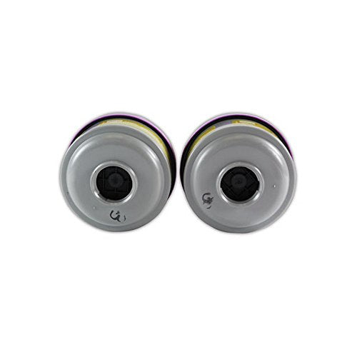 Honeywell 75SCP100L North 75SCP100 Combination Gas and Vapor Cartridge with P100 Particulate Filter, Purple (Pack of 2)