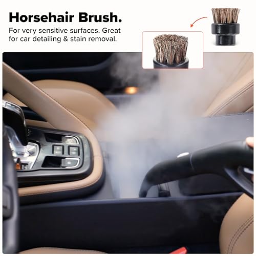 Dupray Assorted Brushes (10-Piece) โ Brass, Nylon, Stainless & Horsehair for Dupray Steam Cleaner