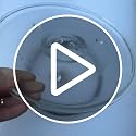 Rotaglass 10.5 In. Microwave Glass Turntable Plate Replacement