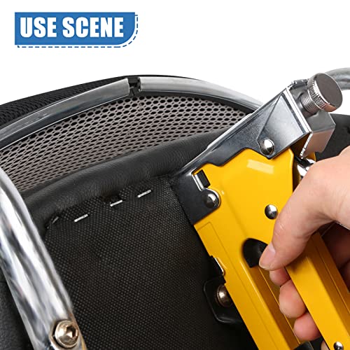 Heavy Duty T50 Staples and 18GA Brad Nails, 2400-Count 6 Sizes Includes: 5/16", 3/8", 1/2", 9/16" T50 Staples and 3/8", 1/2" Brad Nails Assorted, Galvanized