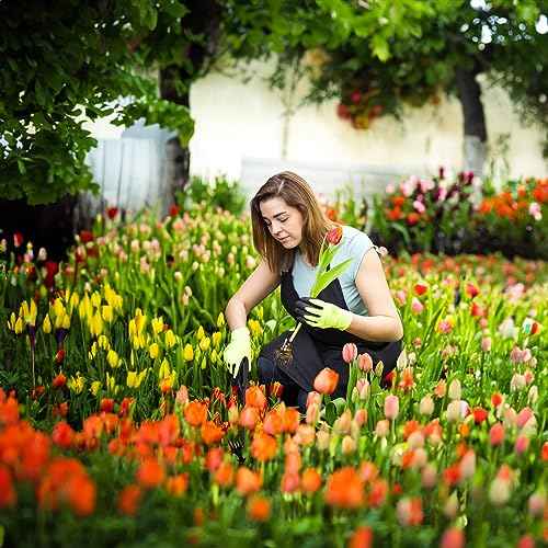 Weed Puller Tool Garden Weed Pulling Tool, Portable Garden Weeder Tool Uprooting Weeding Tool, 4 Teeth Manganese Steel Forged Hand Weeder for Vegetable Gardening Backyard Farm Planting & Weeding