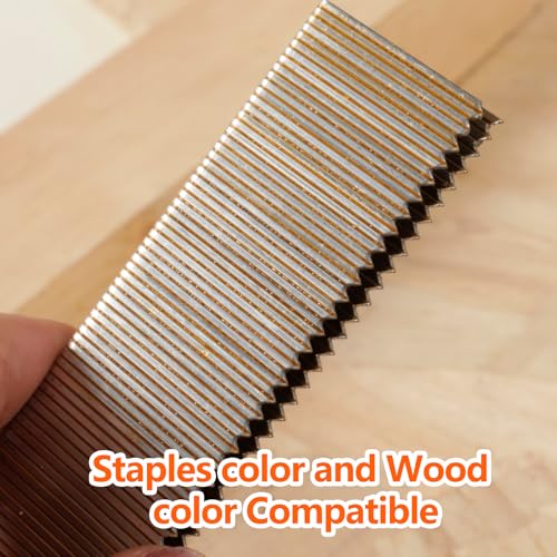 1000-Count 1/2 Inch Length, 18 Gauge 1/4 Inch Narrow Crown Staples, Heavy Duty Beveled Chiseled Pointed Galvanized Staples, for Pneumatic, Electric 18GA Stapler Gun