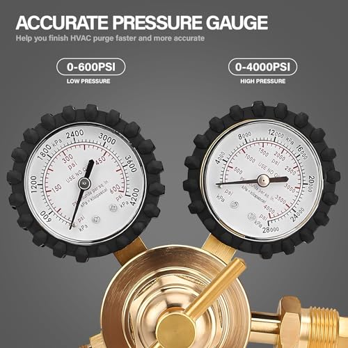 Nitrogen Regulator with 0-400 PSI Delivery Pressure, 60" Hose CGA580 Inlet Connection and 1/4'' Male Flare Outlet Connection