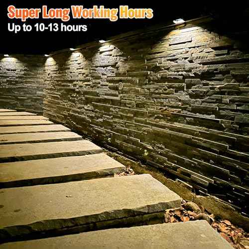 Solar Fence Lights, Warm White & RGB Fence Lights Outdoor Step Lights Outdoor Waterproof LED Solar Lighting for Outside, Backyard, Patio, Deck, Stair Handrail, Pool and Wall(12 Pack,Black)