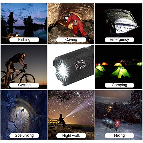 Blacklight Flashlight Kit, 2 in 1 LED UV 395nm Blacklights with 500LM Highlight, 4 Modes, Ultraviolet Torch Light for Pet Urine/Scorpion Detection/Night Fishing/Travel/Camping