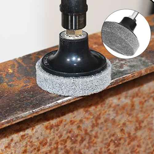 Luo ke 10 Pcs 2 Inch Sanding Discs Quick Change Silicon Carbide Surface Preparation Wheels for Drill & Die Grinder Sanding Disc, Paint Stripper & Rust Removal