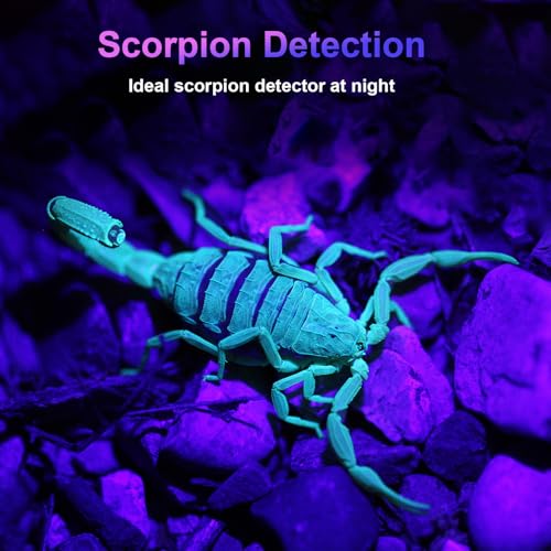 COSOOS 2 Pack UV Flashlight, 365nm USB Rechargeable Black Light Flashlight, Mini Handheld Detector for Dog Cat Urine, Pet Stains, Scorpions, Resin Curing