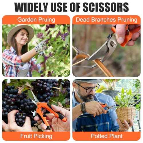 3 pcs garden shears Stainless steel Gardening scissors Pruning shears for gardening For pruning scissors flowers fruit trees