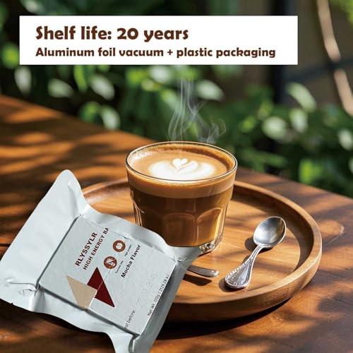 RLYSSYLR 2 Pack Emergency Food Ration Bars 8-Day Long Shelf Life, Sugar-Free Mocha Flavor