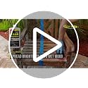 STAR BRITE Premium Golden Teak Oil 16oz - Outdoor & Indoor Wood Protection