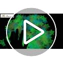 AM AMAONM 100pcs Glow in The Dark Luminous Plastic Stars for Wall & Ceiling, Multicolor, Variation 1