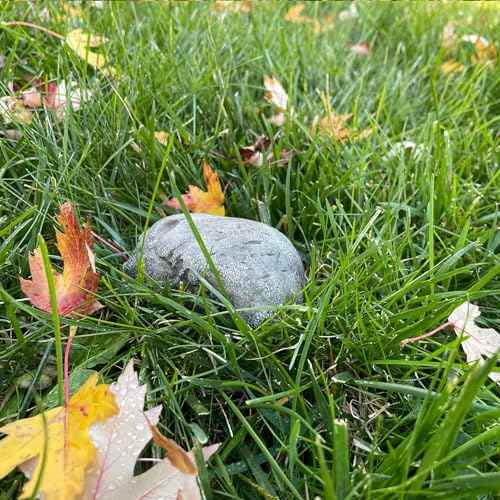 Key Rock - Safe for Outdoor Hide A Key in Plain Sight in a Real Looking Rock/Stone, Holds Standard when not at home or are not able to unlock the door