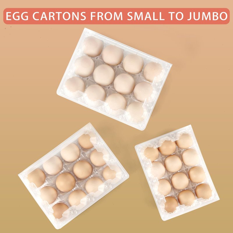 YIFIHGE 60 Pack Egg Cartons Cheap Bulk 1 Dozen Jumbo Egg Cartons Extra Large Duck Egg Holders with Sticker Labels Clear Empty Plastic Egg Containers for Home Ranch Farm Commercial Market Display