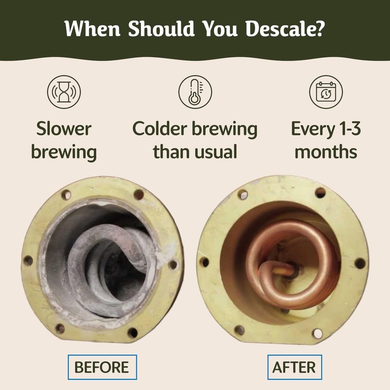 Caffe Assaggio Descaling Solution (10 Uses) Delonghi Keurig Nespresso Coffee Machine Cleaner Descaler Kit Coffee Machine Descaler Compatible with All Brands Breville Ninja