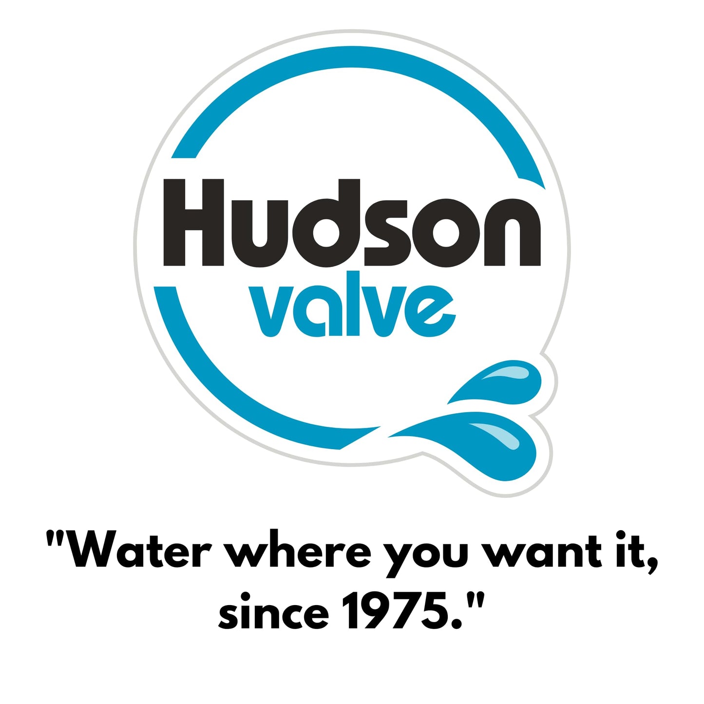 Hudson Valve 1/2" Self-Contained Automatic Water Float Valve VSG | Use for Pond Auto Fill, Livestock Tanks, Fountains, Troughs, Swimming Pools and More | Water Tank Float Valve