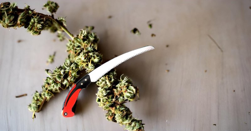 BlueNatHxRPR 11 Inch Hand Pruning Saw with Saw Blade Enclosure for Garden Trimming Wood Camping Tree Branches