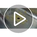 Kitchen SinkShroom 1-Pack Black Stainless Steel Sink Strainer - Clog-Free