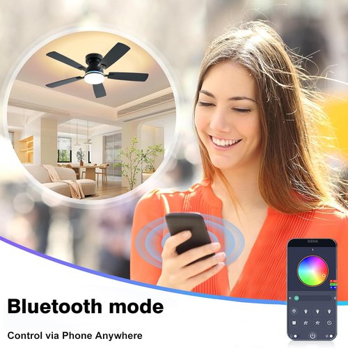 Ayaoty Ceiling Fans with Lights, 48 inch Low Profile Ceiling Fan with Light and Remote Control, Flush Mount RGB Dimmable Light, Noiseless, Black Ceiling Fan for Bedroom Indoor/Outdoor Use