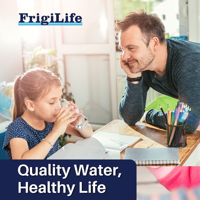 FrigiLife Refrigerator Water Filter Compatible with Frigidaire EPTWFU01, EWF02, Pure Source Ultra II, PureSource Ultra 2, GP006, SCWFTCTO, EPTWFUO1, TH-01, JO22, BO022, MR022, DE022, 1007, 1PACK