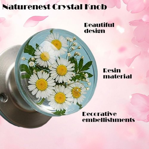 Ribili/Solymall/Naturenest Crystal Knob, Posequiver Unique Decorative Door Handle, Resin Embedded Crafts, Artistic Unique Knobs for Modern/Classic Bedrooms (Bee)