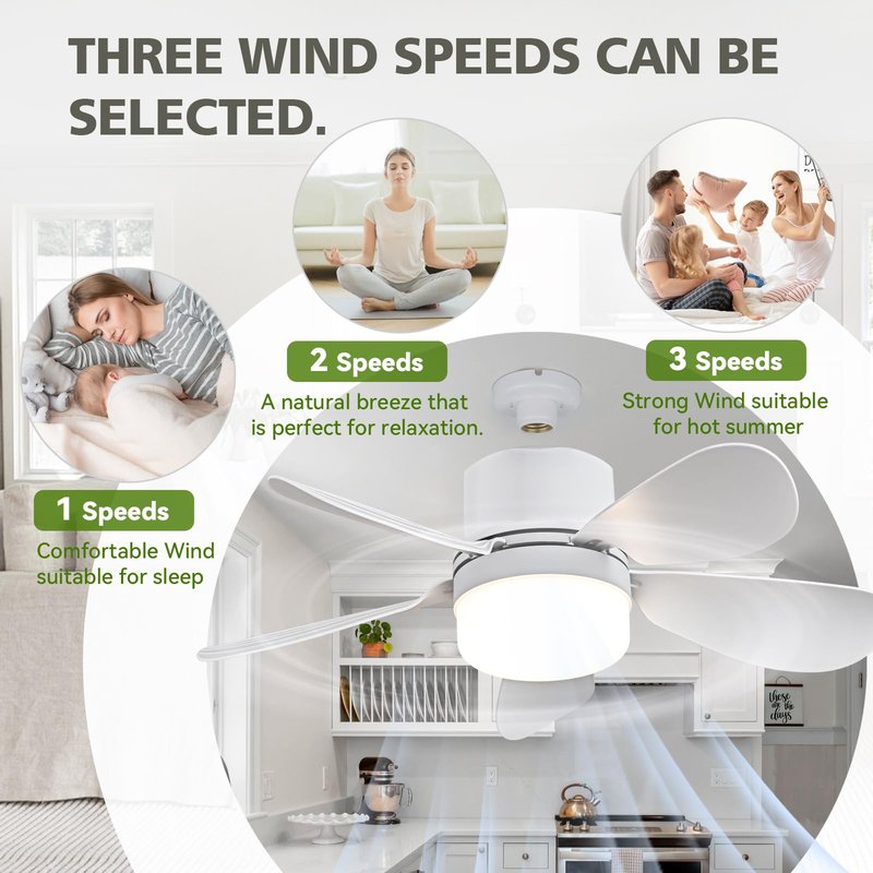 ASALL Socket Fan Light with Remote Control, Portable Small Ceiling Fan with Lights for Bedroom, Kitchen, Living Room, with Dimming Function, 1000 Lumens, Screws into E26/E27, 16.54 Inches Diameter