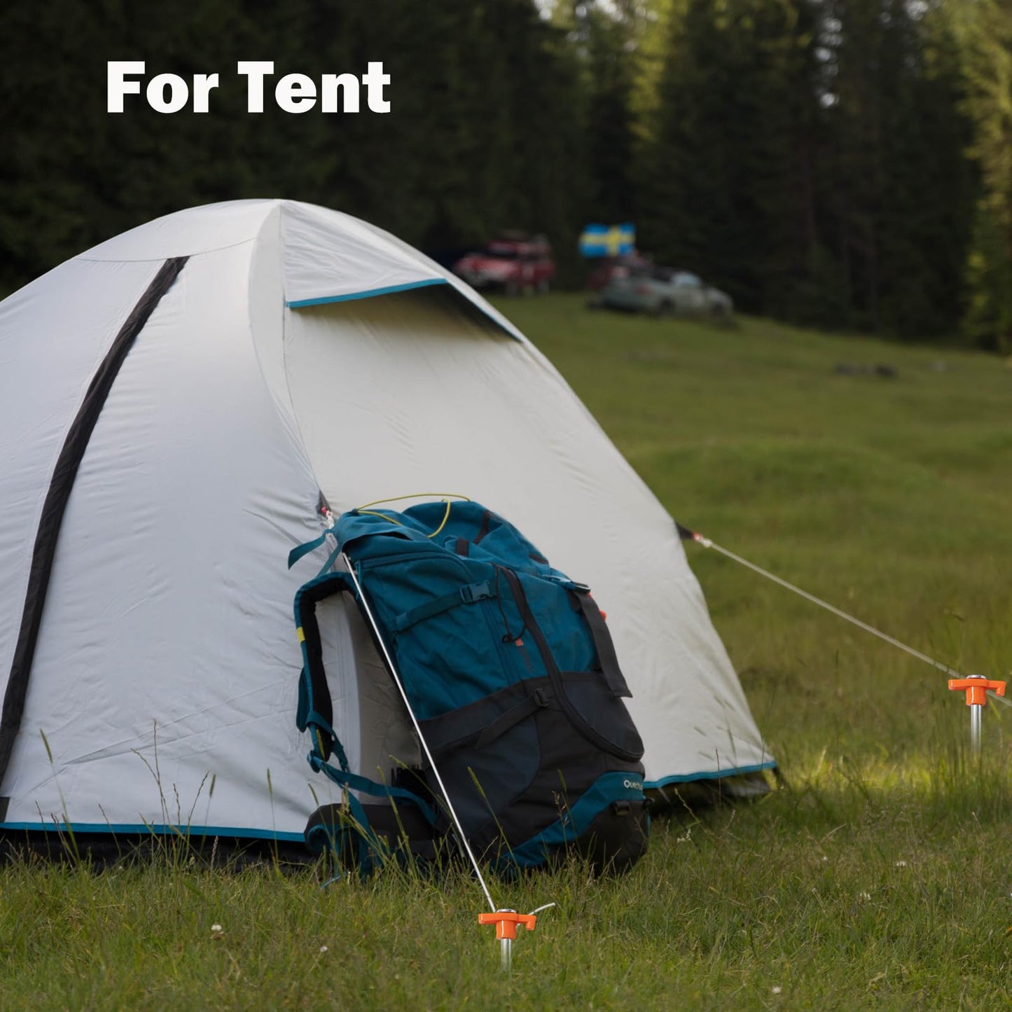 Cheardia 10 Pack Tent Stakes Heavy Duty, 9.75 Inch Yard Stakes Non-Rust Metal Tent Pegs Ground Stakes Tent Spikes for Camping Patio, Garden, Canopies, Grassland, Outdoor,Orange