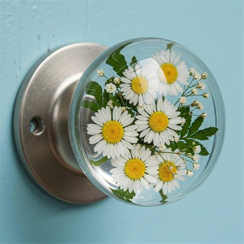 Unique Decorative Door Handle, Retro Round Resin Epoxy Flower Door Knob Retro, reative Artistic Decor for Bedroom, Nature Style Transparent Animal Crystal Doors Knobs (Style B)