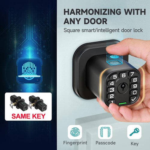 Richelock Fingerprint Door knob, Smart Biometric Door Lock with Keypad, Keyless Entry Code Door Knob, Waterproof & Weatherproof, Auto Lock,Voice Navigation, for Bedroom, Gate,Office