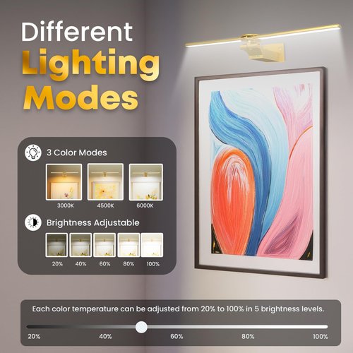 doublacy 2 Pack Picture Light for Wall, 18in Rechargeable Wall Art Light with Timer and Dimmable, Painting Frame Light with Remote Control Display for Painting, Frame, Portrait, Dartboard (Gold)