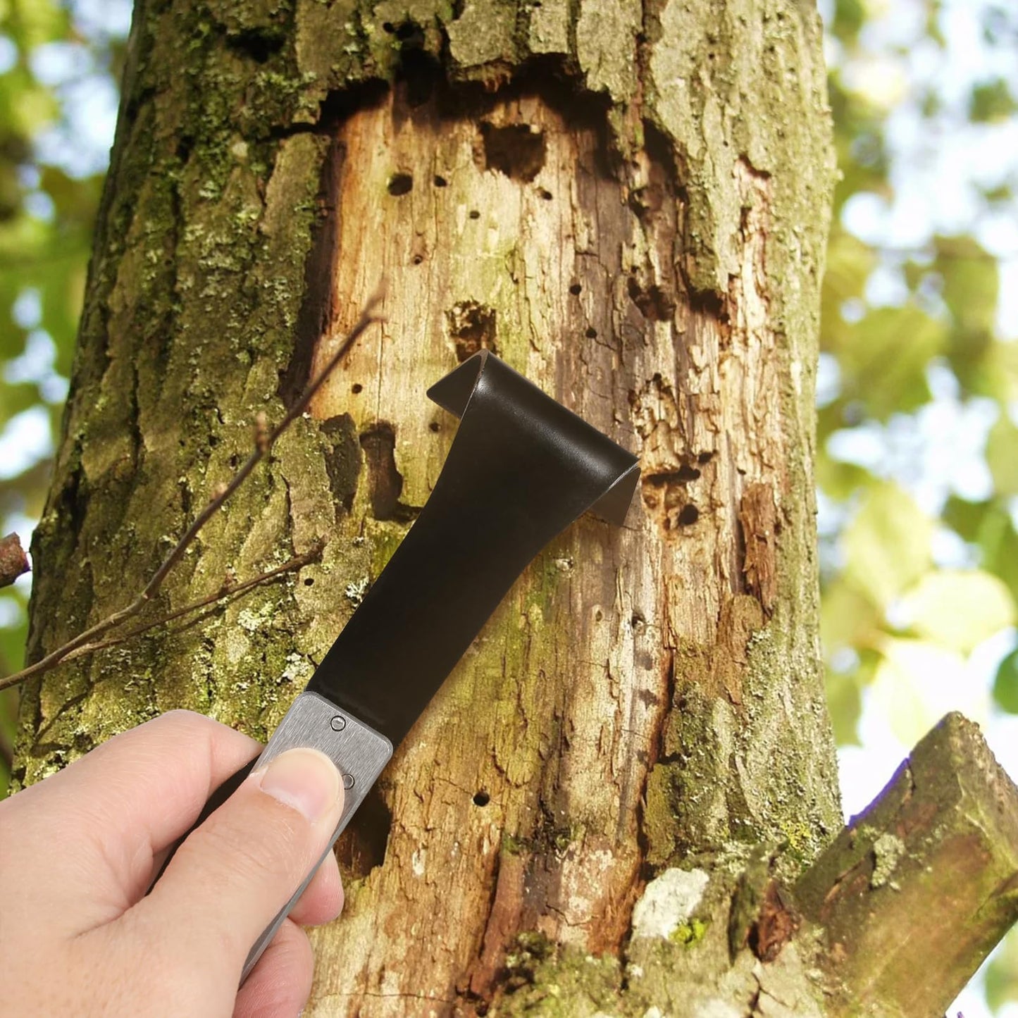 CIMAXIC Professional Garden Tool Stainless Steel Bark Scraper Debarking Spud Branch Cutter for Trees Efficient Bark Removal