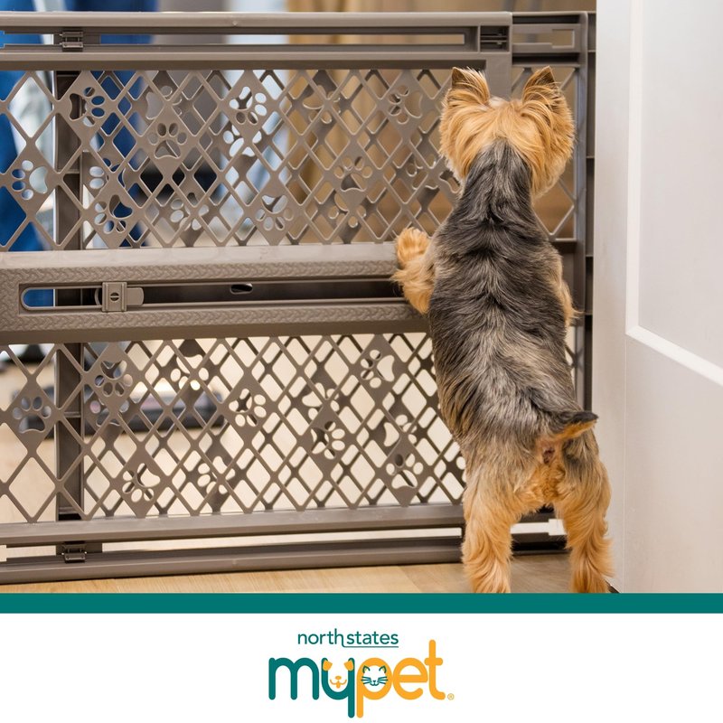 MYPET Paws Portable Pet Gate: 26-40" Wide Expandable, Pressure Mounted No Tools Needed, Durable Dog Gate for Doorways, Made in USA, 23" Tall, Fieldstone Gray