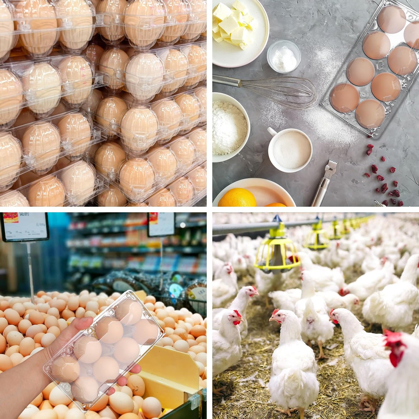 KUKLIPJIM 150 Pack Bulk Egg Cartons, Clear Plastic Chicken Egg Holders, Egg Tray Carton Holder for Home & Kitchen, Farm & Market Use, An Eco-Friendly Egg Storage Solution, 8 Grids,(Medium Size)…