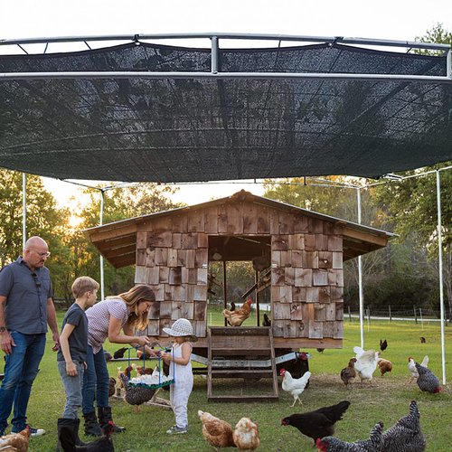 Shade Cloth - 70-90% Sunblock Net for Garden Patio,Shade Sails for Plants Greenhouse Outdoor Pergola Lawn Swimming Pool Sun Shade Cloths for Kennel Chicken Coop Easier to Hang Shade Net Cover