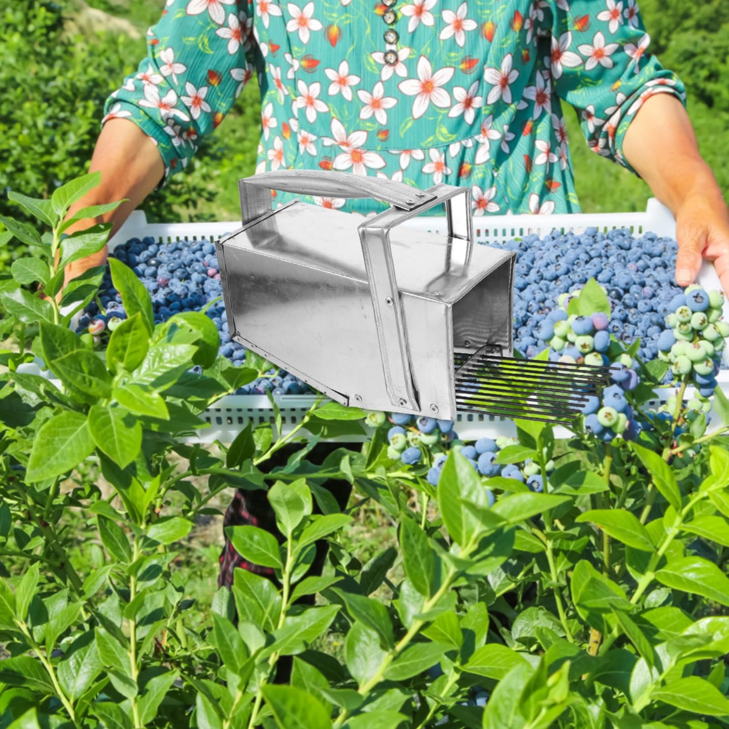 MAGICLULU Fruit Berry Picker Basket with Ergonomic Handle Rake Comb Design for Efficient Blueberry and Harvesting Handheld Berry Scoop Tool