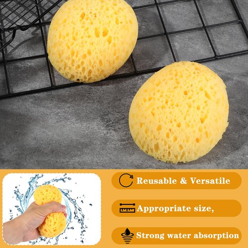 Mabor 2Pcs Texture Sponges, Sponge for Patch/Repair Ceiling Drywall Wall, Round Clay Sponges for Pottery, DIY Painting Ceiling Wall Texture