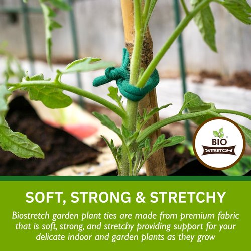 Biostretch Soft Garden Plant Ties for Indoor & Outdoor Plants - Strong & Stretchy Cut-to-Length Plant Tape for Climbing Plants, Tomato Vines & Home Gardening (65 ft / 20M)
