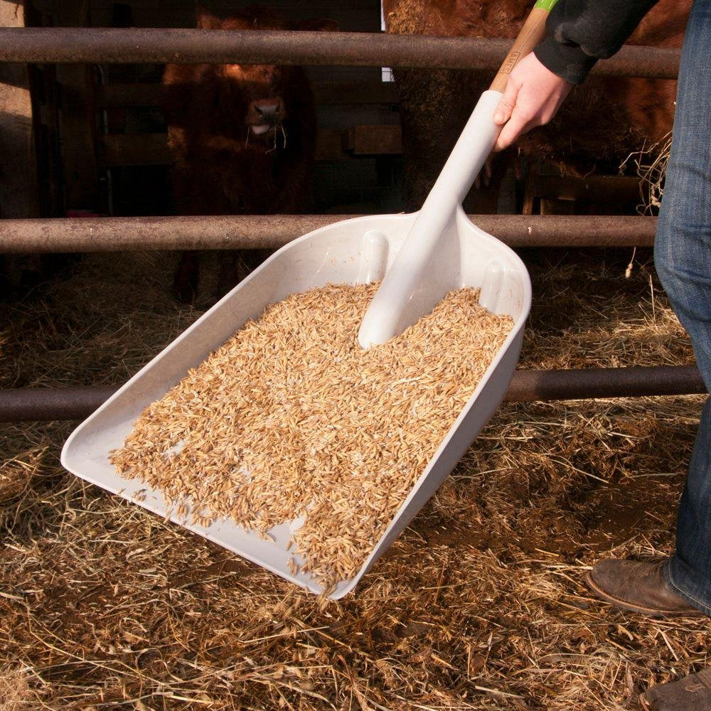 AMES 46-Inch Poly Scoop with Hardwood Handle and Ergonomic D-Grip, Ideal for Garden Care, Landscaping, Moving Shavings or Grain, Farming Tasks, and Heavy-Duty Yard Work